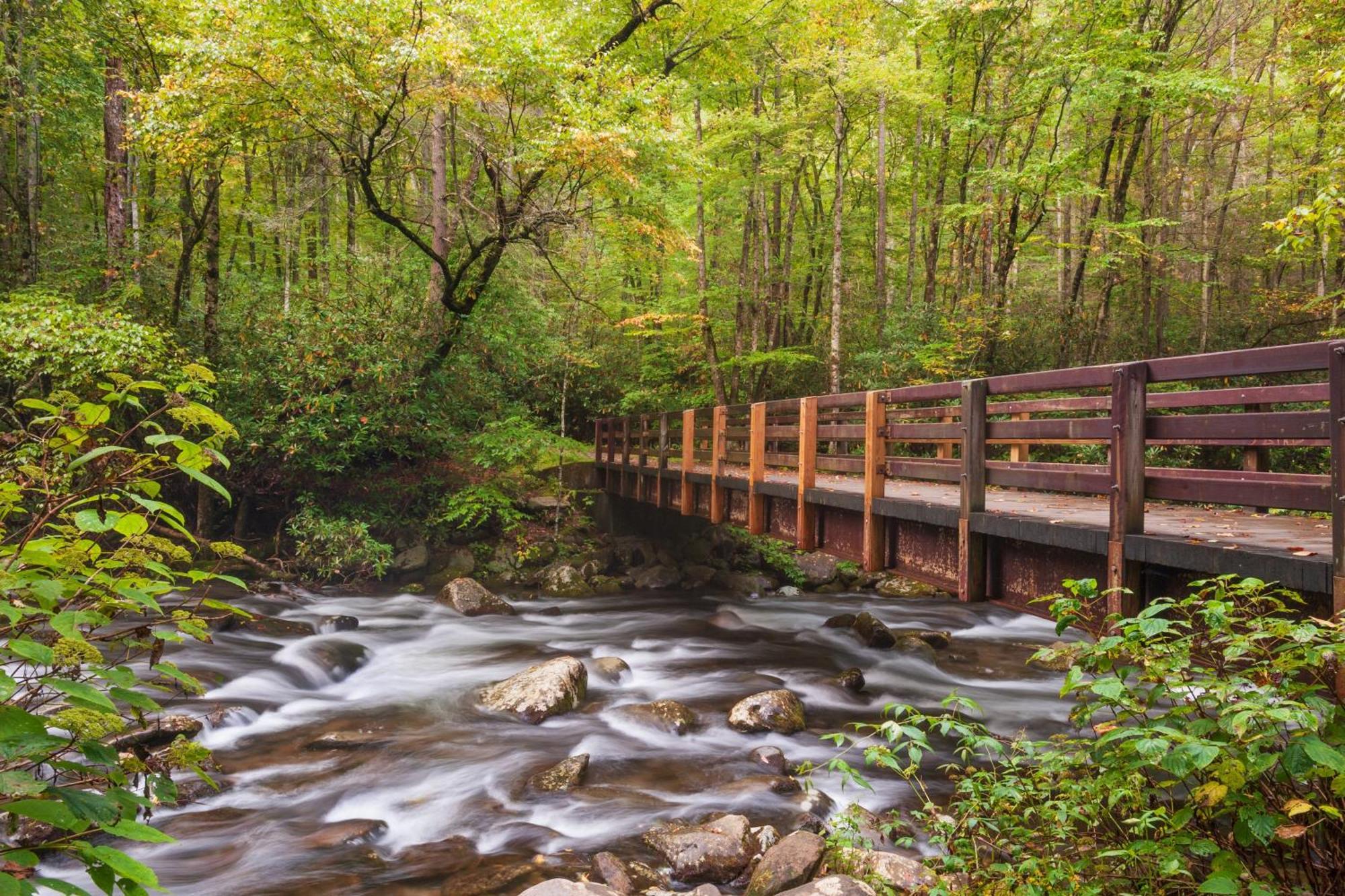 Hidden Creek, Pool Table, Hot Tub, 1089 Free Tickets Each Paid Day, Dollywood And More Гатлінбург Екстер'єр фото
